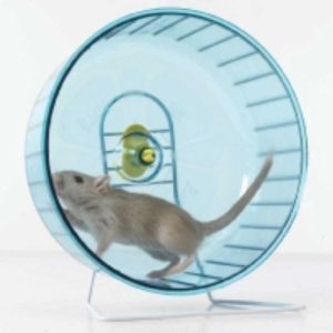 Rolly Giant Wheel + Stand Dia, 27.5cms