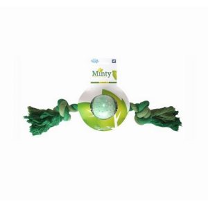 Pet Brands Medium Minty Rubber Ball n Bone