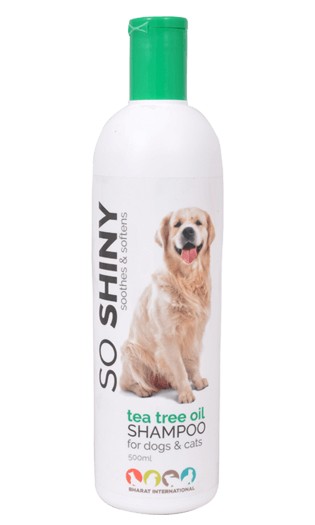 Tea Tree Oil Shampoo For Dogs and Cats Tea Tree Oil Shampoo For Dogs and Cats