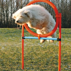 Trixie Dog Activity Agility Ring (Orange/Blue)