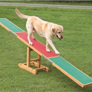 Trixie Dog Activity Agility Seesaw, 300 54 34 cm