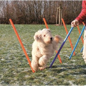Trixie Dog Agility Slalom