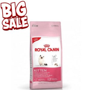 Royal Canin Kitten 36