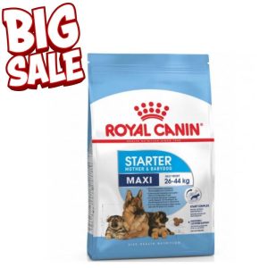 Royal Canin Maxi Starter