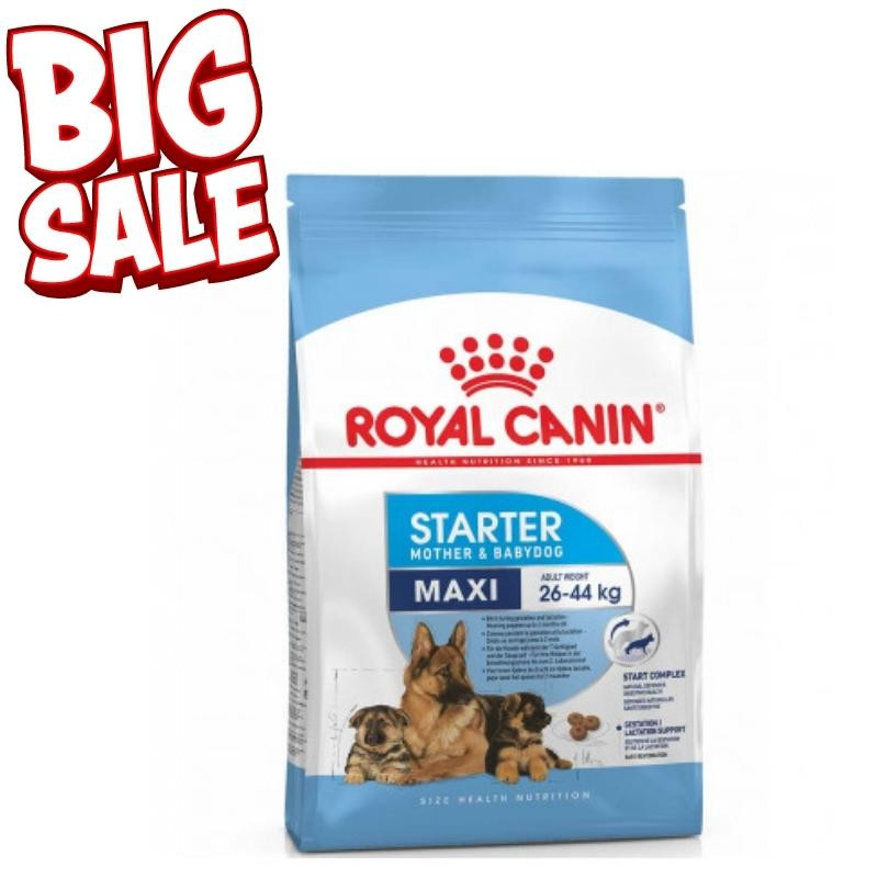 Royal Canin Maxi Starter Royal Canin Maxi Starter