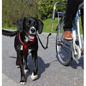 Trixie Biker-Set for Safe Leashing on Bike for Large Dogs