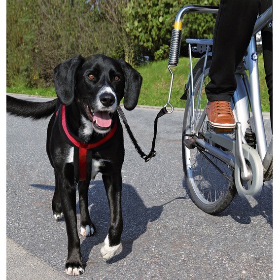 Trixie Biker-Set for Safe Leashing on Bike for Large Dogs Trixie Biker-Set for Safe Leashing on Bike for Large Dogs