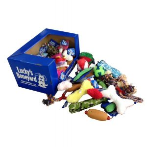 Petsport Lucky's Boneyard Assorted Toys 60 Qty in Shelf Display Box