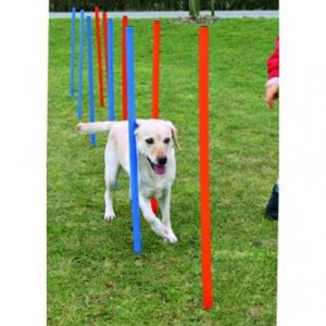 Trixie Dog Activity Agility Slalom (weave poles) 115 x Dia. 3 cm, 12 pcs