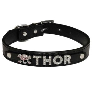 Pawzone Collar With Stones Studded Alphabets Dog Name Collars Black