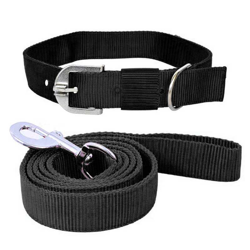 Pawzone Black Leash with Collar Set for Dogs Pawzone Black Leash with Collar Set for Dogs