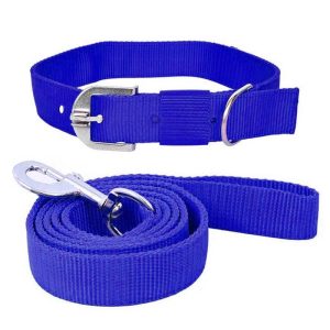 Pawzone Blue Leash with Collar Set for Dogs