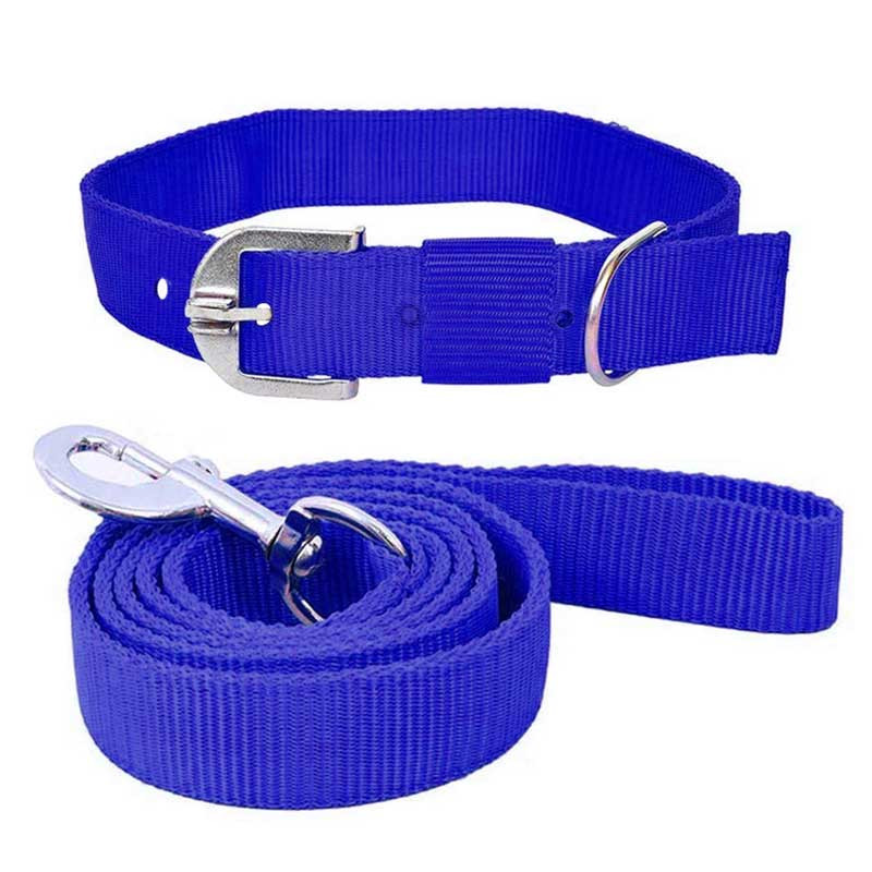 Pawzone Blue Leash with Collar Set for Dogs Pawzone Blue Leash with Collar Set for Dogs