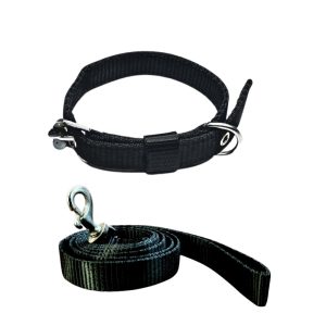 Pawzone Nylon Black Collar with Leash set