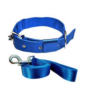 Pawzone Nylon Blue Collar with Leash set