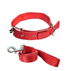 Pawzone Nylon Red Collar with Leash set