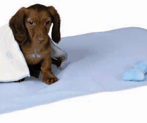 Trixie Puppy Starter Kit, Light Blue
