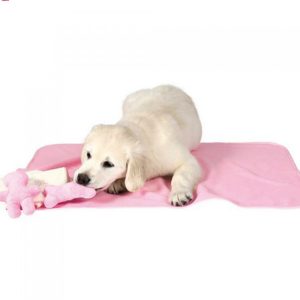 Trixie Puppy Starter Kit, Pink