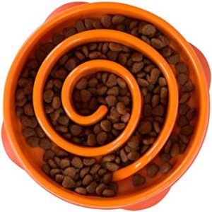 Outward Hound Fun Feeder Mini Slow Feed Bowl