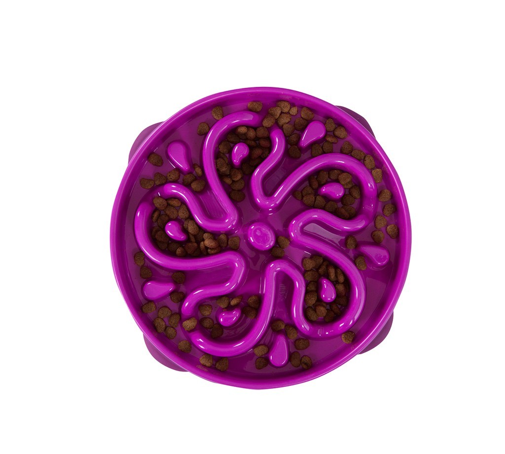 Fun Feeder Slow Feed Bowl Purple Fun Feeder Slow Feed Bowl Purple