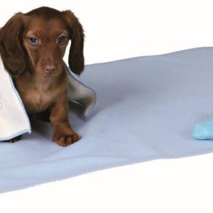 Puppy Kit with blanket, toys & towel, Light Blue