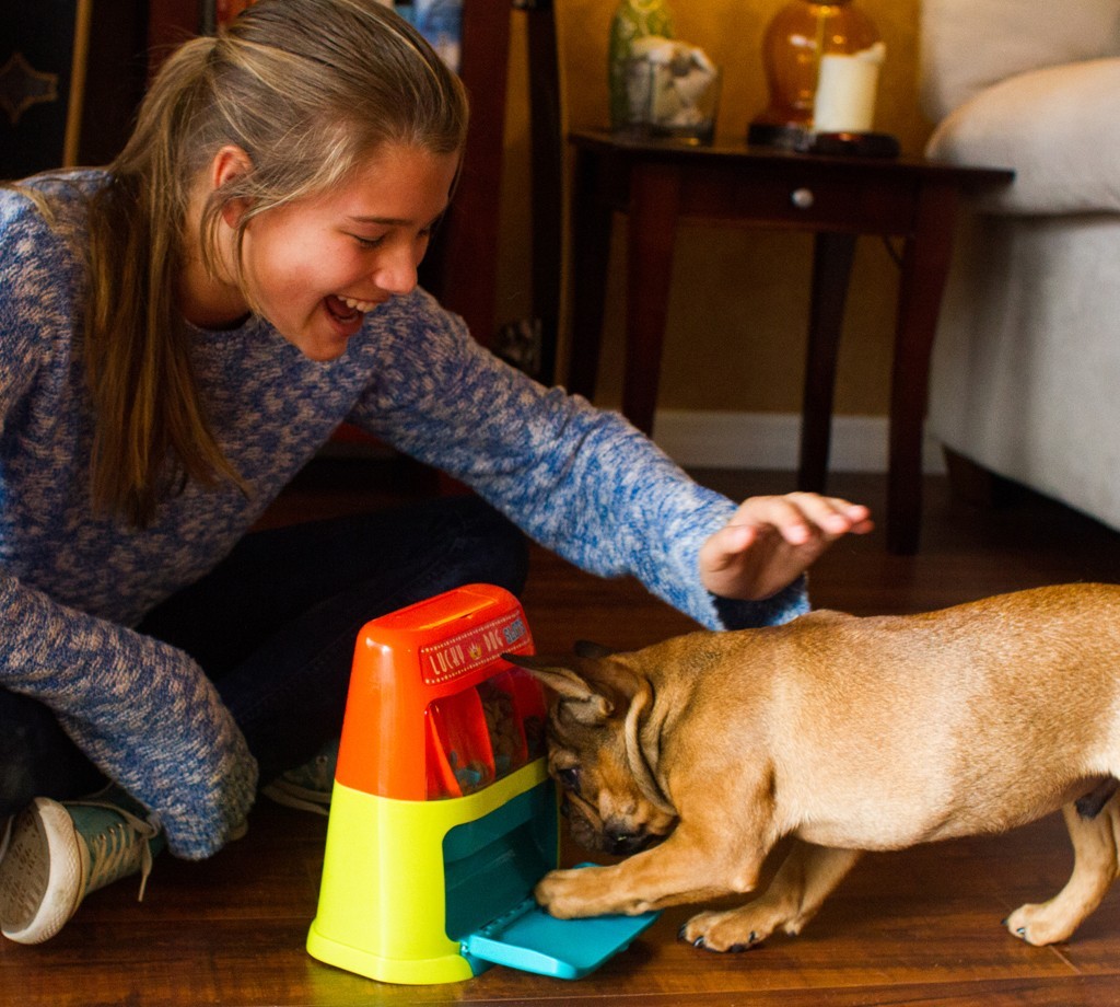 Lucky Dog Slots Interactive Game for Dogs Lucky Dog Slots Interactive Game for Dogs