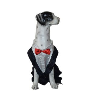Pawzone Party Wear Black Suit for Dogs