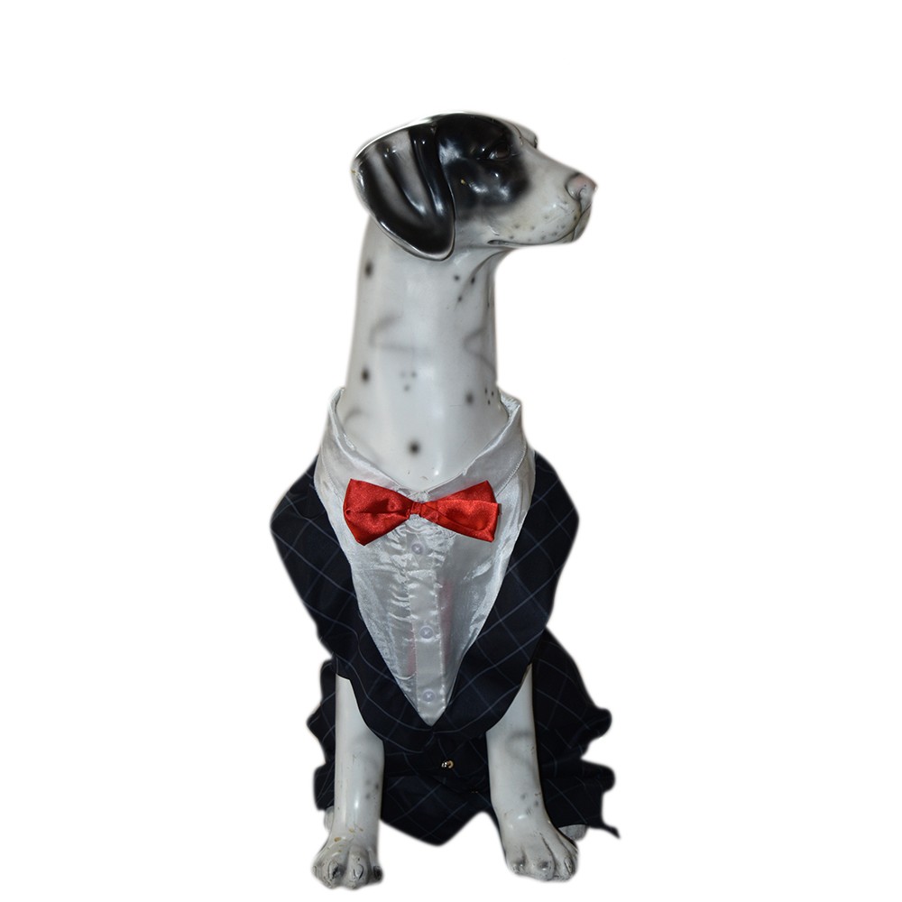 Pawzone Party Wear Black Suit for Dogs Pawzone Party Wear Black Suit for Dogs