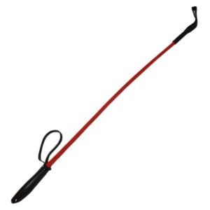 Pawzone Red Hunter Stick