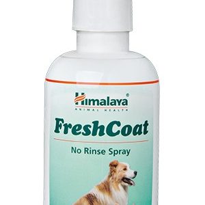 Himalaya Digyton Plus Liquid-100 ml ( Pack of 2)