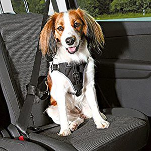 Trixie, Dog Protect Car Harness
