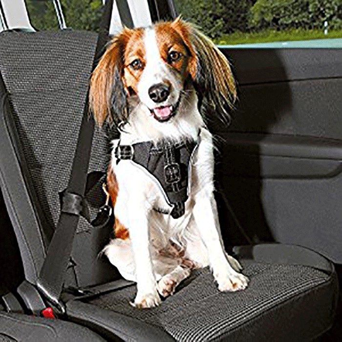 Trixie, Dog Protect Car Harness Trixie, Dog Protect Car Harness