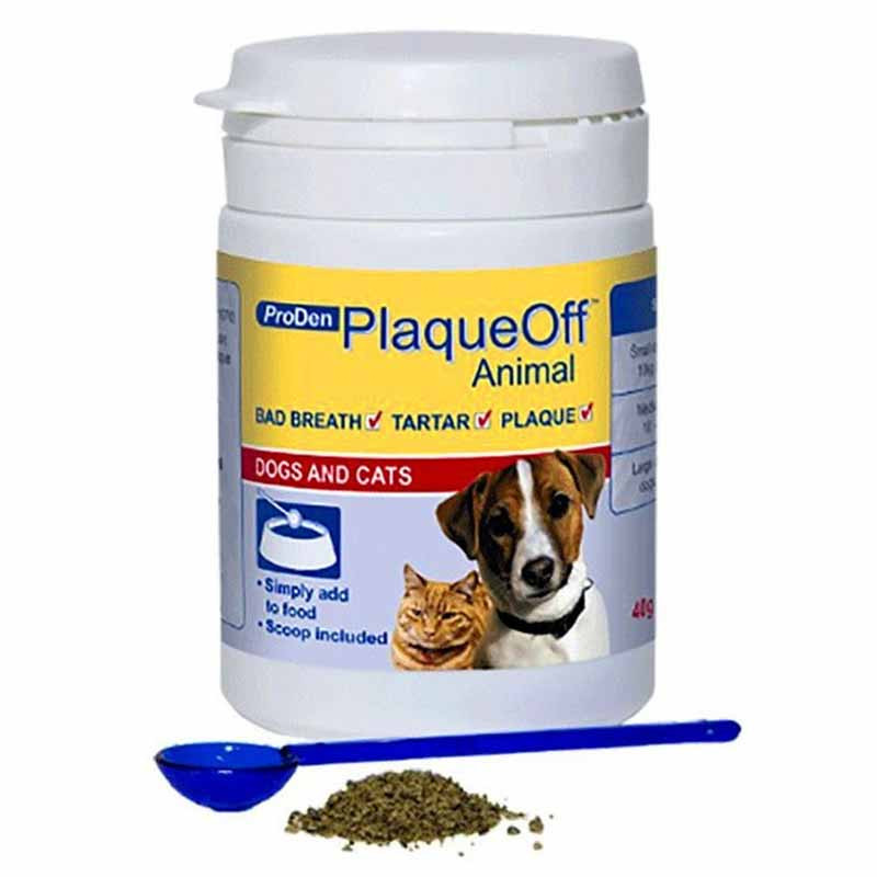 Proden Plaqueoff Powder 40gm Proden Plaqueoff Powder 40gm