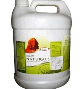 Absolute Aloe Vera Shampoo 5 Ltrs