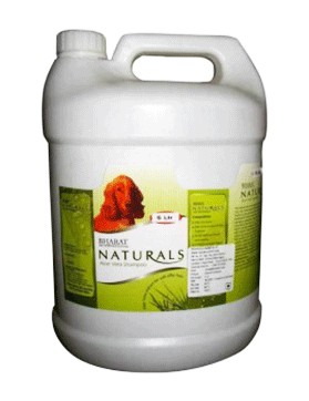 Absolute Aloe Vera Shampoo 5 Ltrs Absolute Aloe Vera Shampoo 5 Ltrs