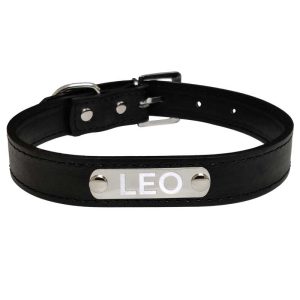 Pawzone Black Sliver Dog Name Collars