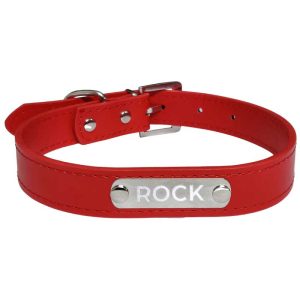 Pawzone Red Sliver Dog Name Collar