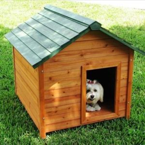 Wodden Dog House
