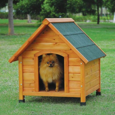 Wodden Dog House Wodden Dog House