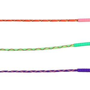 Smarty Pet Walking Stick (Paw flap)