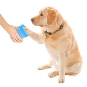 Pawzone Pet Foot Washer