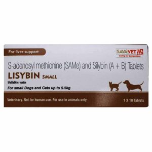 Savavet Lisybin for Small Dogs & Cats 10 Tabs