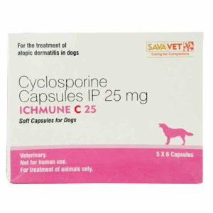 Savavet Ichmune C Tablets For Dogs 25 mg, 6 Tabs