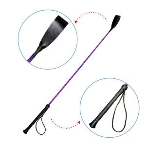 Pets Empire Multi Color Hunter Stick Small