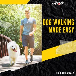 Book For a Dog Walk