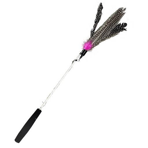 Pawzone Rattan Cat Stick Teaser Wand Pet Kitten Interactive Feather Wire Toys Pawzone Rattan Cat Stick Teaser Wand Pet Kitten Interactive Feather Wire Toys