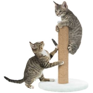 Trixie Junior Scratching Post on Plate, Mint, 30 x 7 x 42 cm