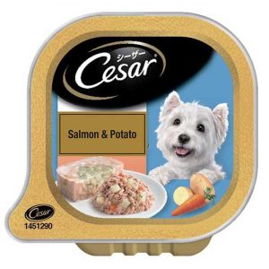 Cesar Adult Wet Dog Food, Salmon & Potato, 100g Tray