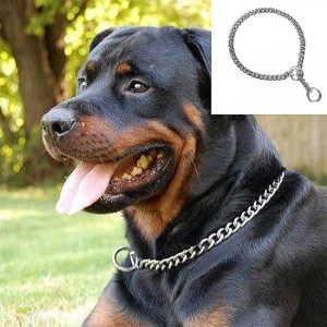 Pawzone Choke Chain For Dogs