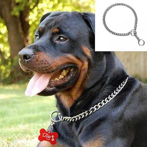 Luxury Collar Chain with Customised Dog Name Tags Silver Luxury Collar Chain with Customised Dog Name Tags Silver
